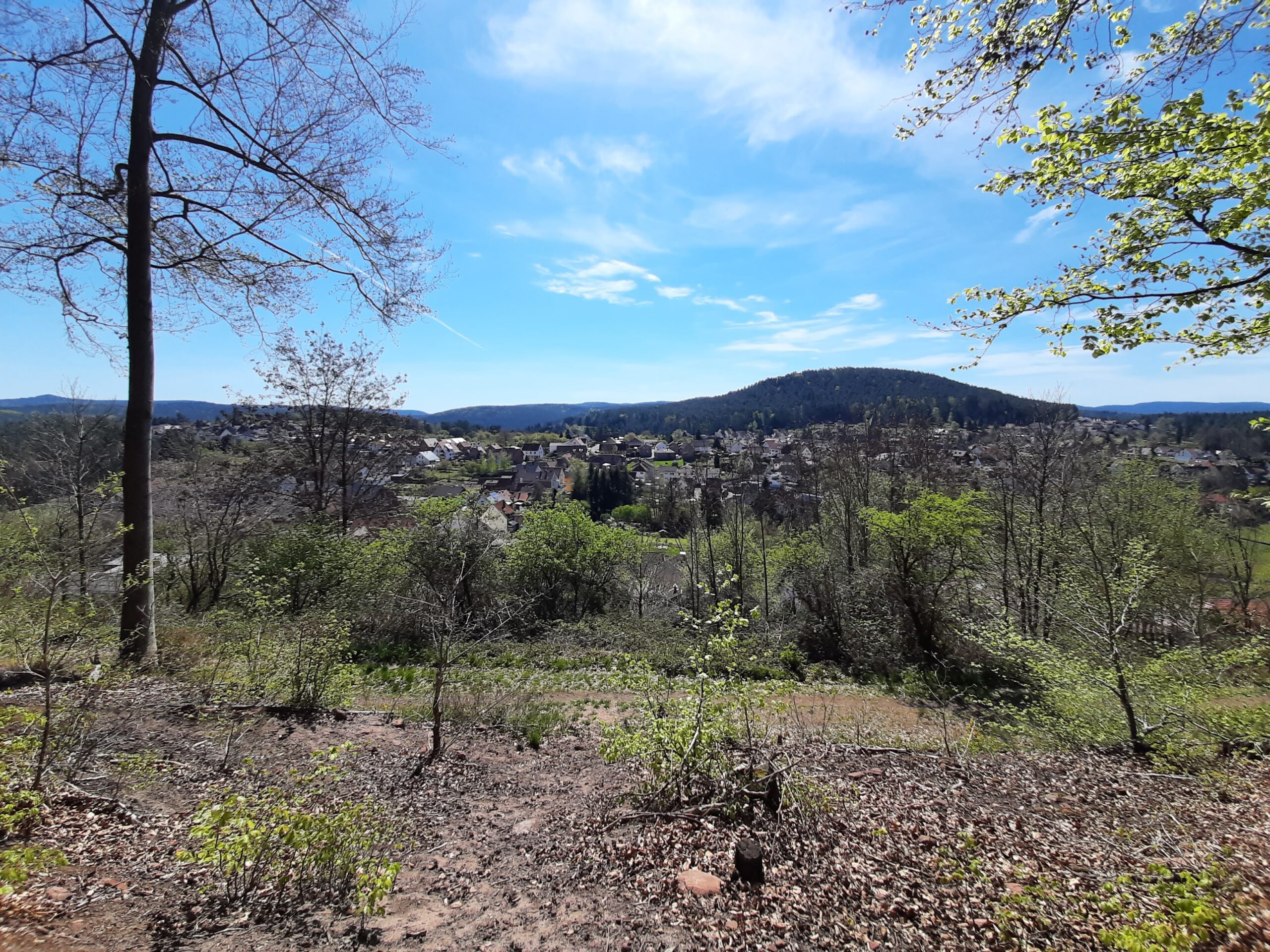 Pfälzerwald-Verein Ortsgruppe Esthal