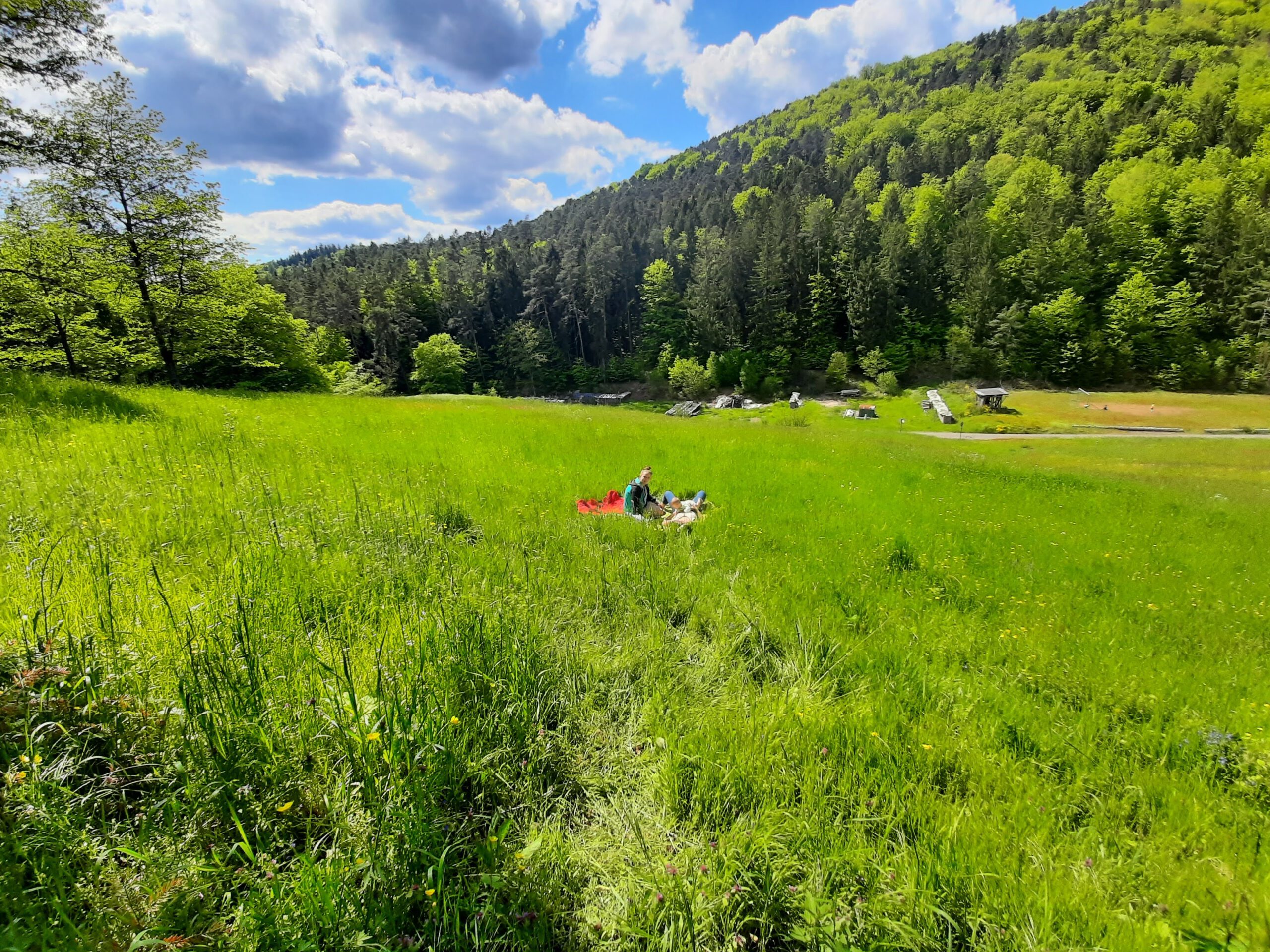 Pfälzerwald-Verein Ortsgruppe Esthal