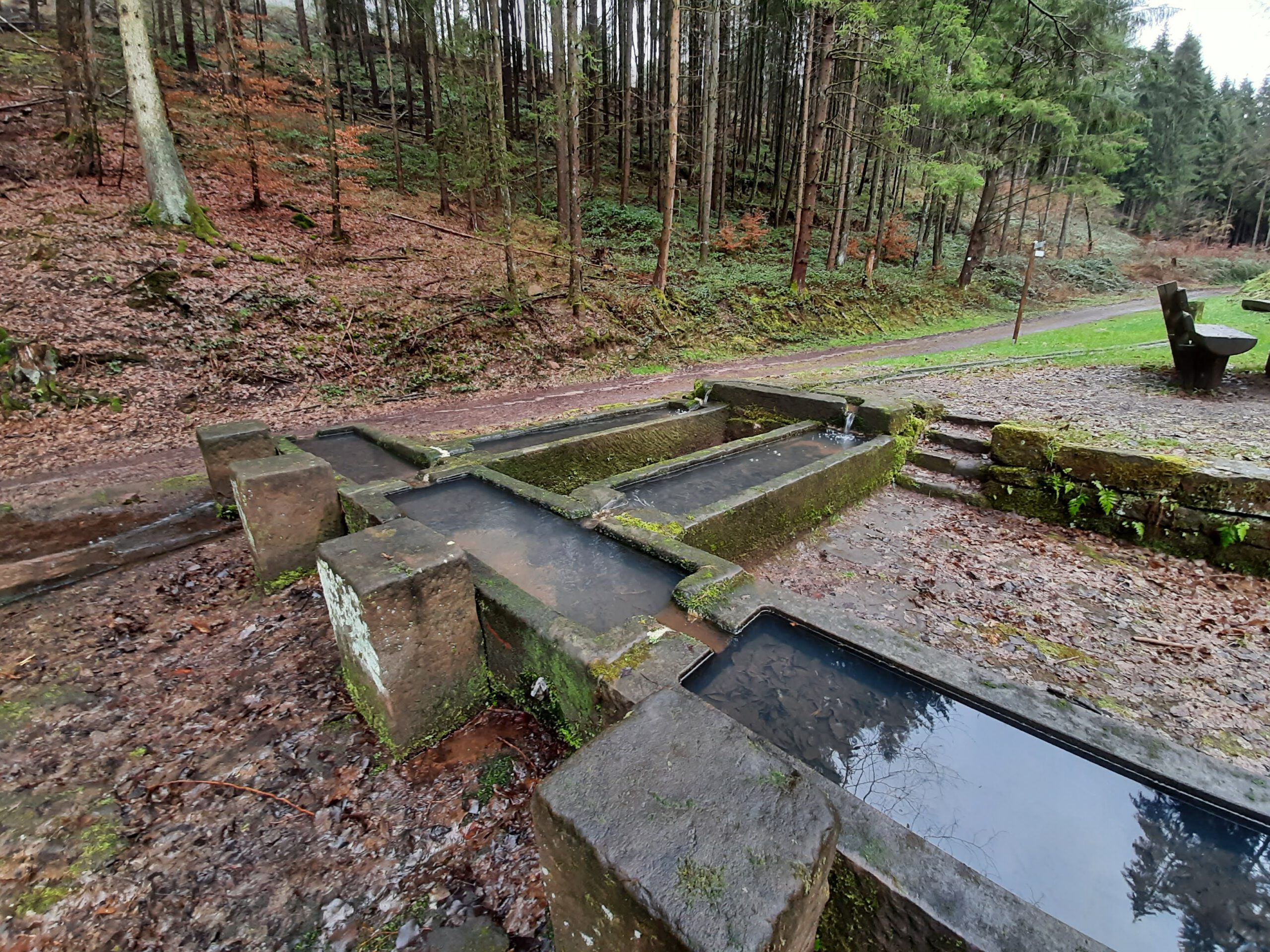 Pfälzerwald-Verein Ortsgruppe Esthal