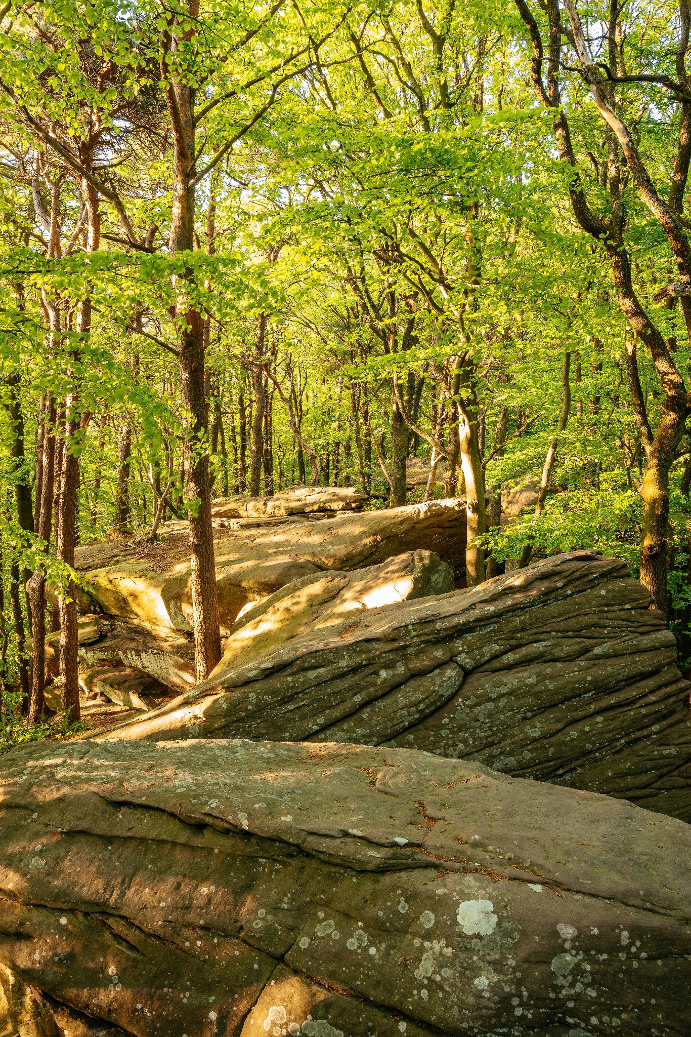 Familienwanderung Felsenmeer