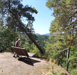 PfälzerwaldVerein Ortsgruppe Esthal Liebe Wanderfreunde und