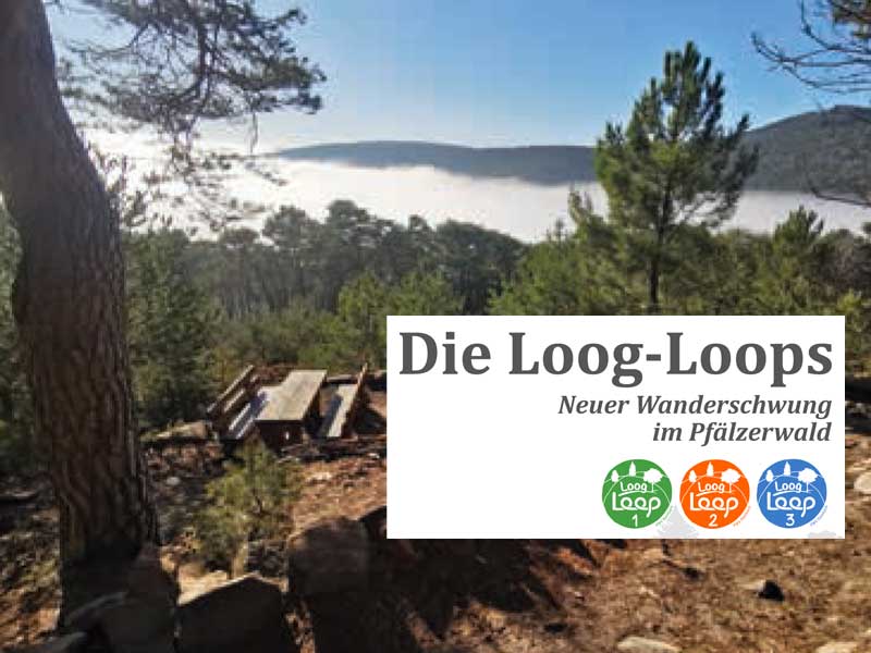 Hohe Loog Loop 2