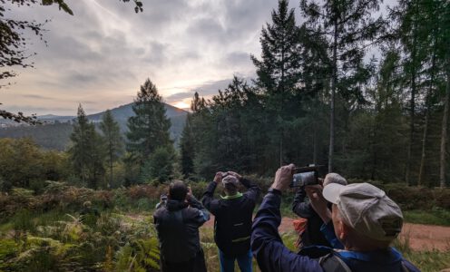 Sonnenaufgang über Esthal