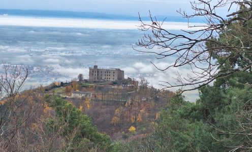 Auf der Hohen Loog über Hambach
