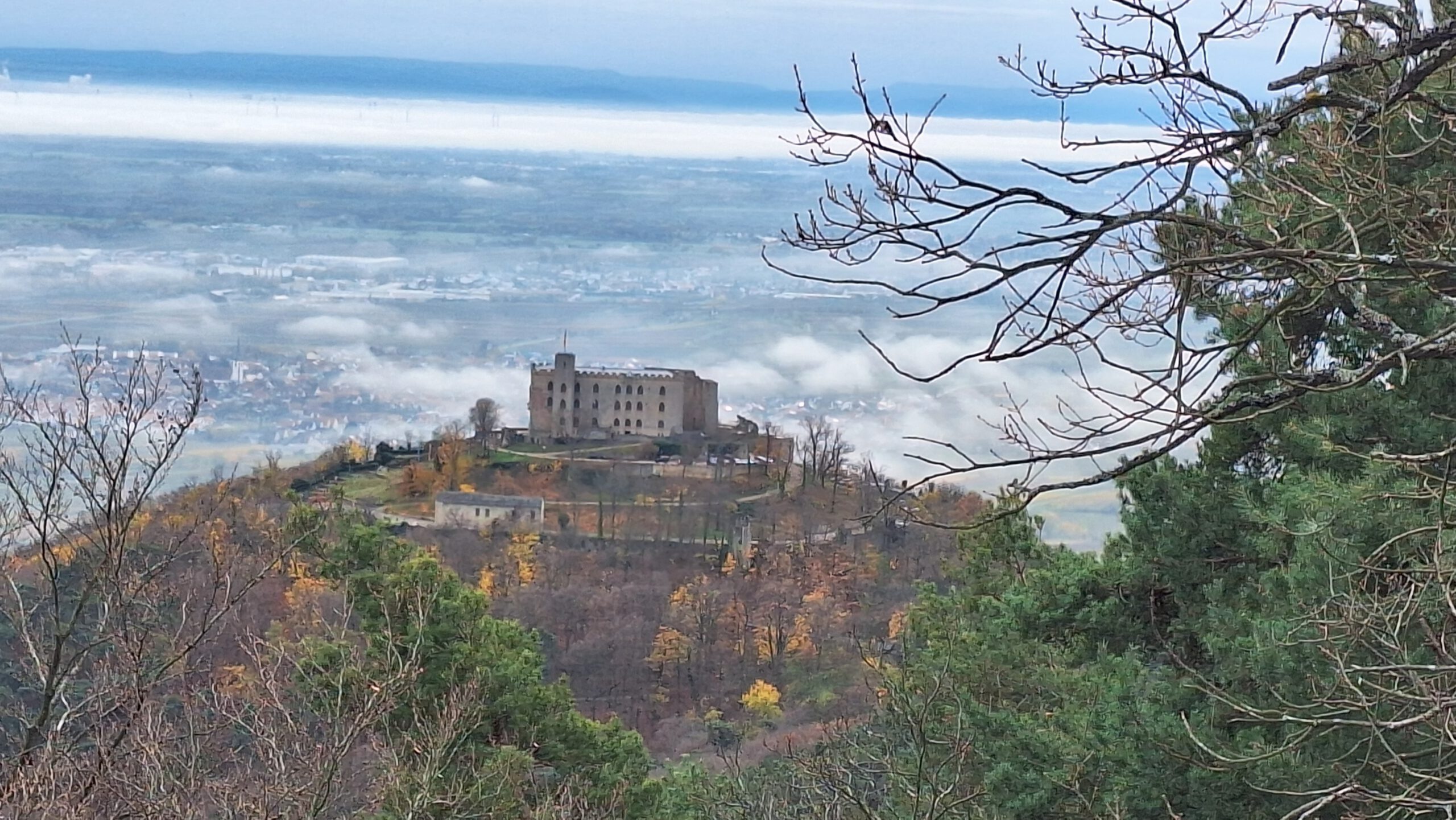 Auf der Hohen Loog über Hambach